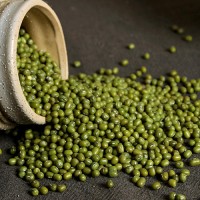 七彩納沃 5斤綠豆新鮮農(nóng)家粗糧顆粒飽滿笨綠豆糧油做綠豆湯發(fā)豆芽